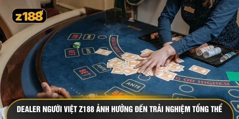 Dealer người Việt Z188 ảnh hưởng đến trải nghiệm tổng thể