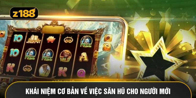 Khái niệm cơ bản về việc săn hũ cho người mới